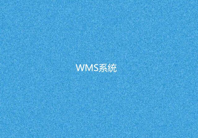 WMS系統(tǒng)培訓通常需要多長時間？